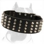 Wide Studded Leather Dog Collar for Pitbull