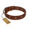 'Unfailing Charm' FDT Artisan Pitbull Studded Tan Leather Dog Collar