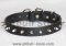 Puppy Spiked Dog Collar- 1 Row of spikes dog collar