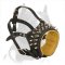 Royal Spiked Leather Muzzle for American Pit Bull Terrier