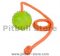 Training DOG BALL on a String-Dog Rubber Ball for Pitbull