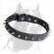 A New Fancy Leather Spiked Collar for Pitbull Breed