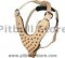 Tan Leather Spiked Dog Harness for Pitbulls- For Pitbull Mix