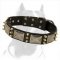 Handcrafted Leather Dog Collar decorated with Spikes and Plates