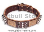 Spiked Brown collar 24'' for PITBULL /24 inch dog collar-C86