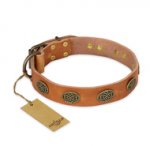 'Magic Amulet' FDT Artisan Tan Leather Pitbull Collar with Oval Studs