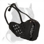 Pitbull Agitation Leather Muzzle