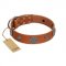"Foxy Nature" FDT Artisan Tan Leather Pitbull Collar with Chrome Plated Brooches