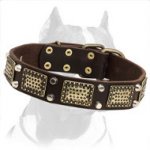 Extra Durable Leather Pitbull Dog Collar with Marvelous Decorations