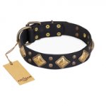 "Fancy-Schmancy" FDT Artisan Black Topnotch Leather Pitbull Collar