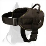 Multifunctional Nylon Dog Harness for Your Pitbull