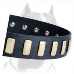 A New Unsurpassed Leather Collar with Metal Plates for Pitbull Breed