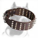 Spiked and Studded Pitbull Dog Collar