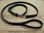 Police / hunting" dog leash and collar (combo)