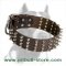 Extra Wide Pitbull Dog Collar with Spikes