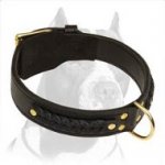 Gorgeous Braided Leather Collar with brass hardware