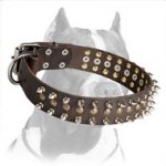Spiked and Studded Leather Pitbull Dog Collar