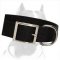 Wide Nylon Dog Collar for Pitbull -1 1/2 inch wide
