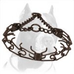 Best Controlling Pitbull Dog Pinch Prong Collar