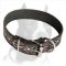 Skillfully Painted Leather Dog Collar with Barbed Wire