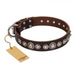 "Step and Sparkle" FDT Artisan Brown Leather Pitbull Collar with Chrome Plated Decor