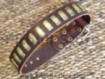 Gorgeous Wide Leather Dog Collar With Plates