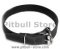 Leather Field Collar for Pitbull