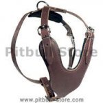 Heavy Duty Dog Harness for Pitbull-PADDED DOG HARNESS