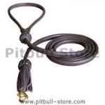 Rolled Leather Dog Lead 2 Foot Long Round Leash Pitbull