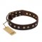 'Bronze Sheen' FDT Artisan Pitbull Brown Leather Dog Collar with Old Bronze-Like Plated Studs - 1 1/2 inch (40 mm) wide