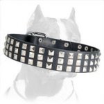 The High-grade Leather Collar with 3 Rows of Nickel Pyramids - A Dazzling Beauty for your Pitbull