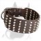 Studded & Strong Pitbull Dog Collar for Stylish Walks