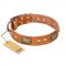 "Saucy Nature" FDT Artisan Tan Leather Pitbull Collar with Old Bronze Look Plates and Skulls
