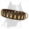 Handcrafted Leather Dog Collar For Pitbulls