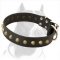 Gorgeous Wide Leather Dog Collar with Brass Decoration