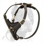 Glamorous Tracking / Walking Dog Harness for Pitbull