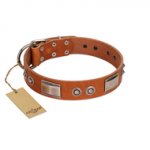 "Pawsy Glossy" FDT Artisan Exclusive Tan Leather Pitbull Collar 1 1/2 inch (40 mm) wide