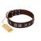 "Needle Stories" Modern FDT Artisan Brown Leather Pitbull Collar with Square Engraved Plates and Four-Point Stars
