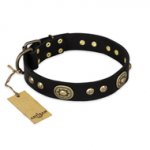 'High Fashion' FDT Artisan Studded with Plates Black Leather Pitbull Collar