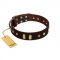 "Blinking Illusion" FDT Artisan Brown Leather Pitbull Collar with Old Bronze-like Studs and Plates