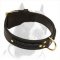 Gorgeous Braided Leather Collar with brass hardware