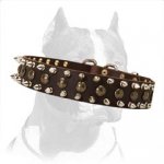 Pitbull Dog Leather Collar with Spikes and Studs