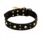 FDT Artisan 'Heavy Metal' Leather Pitbull Collar with Skulls and Studs 1 1/2 inch (40 mm)