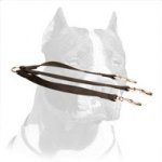Strong Pitbull Triple Dog Leash Made of Nylon
