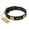 "Spanish night" FDT Artisan Black Leather Pitbull Collar for Daily Walking- 1 1/2 inch (40mm) wide