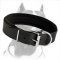 Padded Pitbull Dog Collar for daily Activities, Walking and Training
