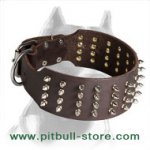 Wide and Strong Pitbull Dog Collar with Nickel Spikes