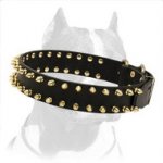 Saucy Spiked Leather Pitbull Dog Collar