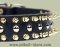 Black Leather Spiked Studded Dog Collar for Pitbull