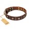 "High Fashion" FDT Artisan Fabulous Brown Leather Pitbull Collar